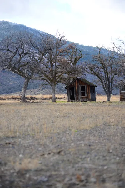 DSC_2878 (Large).JPG